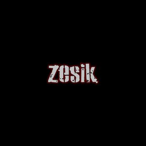 Avatar de Zesik