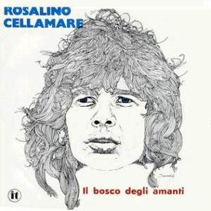 Il bosco degli amanti cover