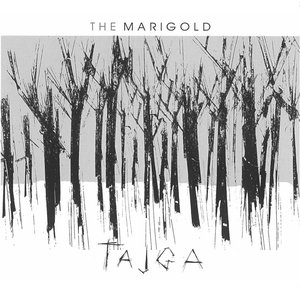 Tajga