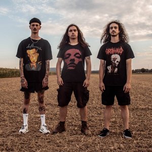 Avatar for Dry and Shattered
