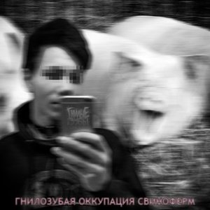 Avatar for Гнилые Зубы