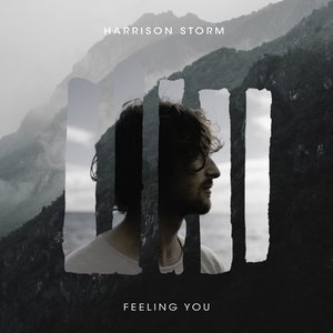 Feeling You - Single