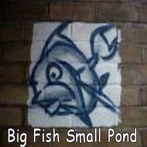 Avatar for Big Fish Small Pond