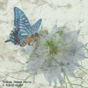 A fairy eight