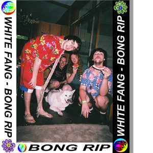 Bong Rip