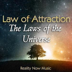 Law of Attraction (The Laws of the Universe)