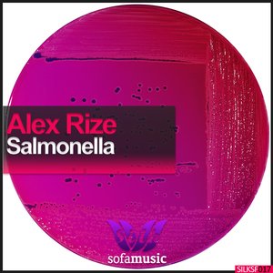 Salmonella