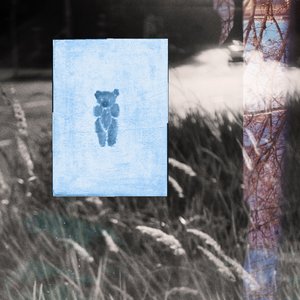 Avatar for Голос медведя