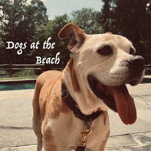 Dogs at the Beach - Single