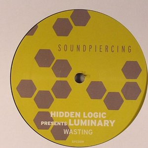 Hidden Logic pres. Luminary のアバター