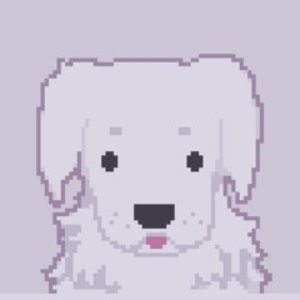missing dog 的头像