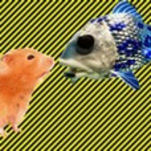 “Fish Hamster and Your Old”的封面