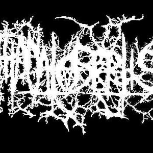 Thanatoseptis 的头像