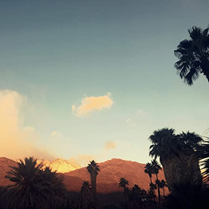 Throwing Muses - Bo Diddley Bridge - Zortam Music