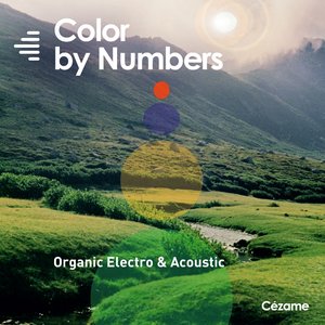 Color By Numbers (Organic Electro & Acoustic)