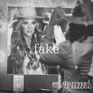 Artwork for Fake