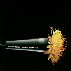 Zhovta kulbaba (Yellow Dandelion)