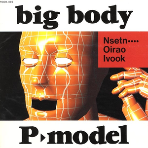 big body cover