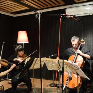 Aramis String Quartet 的头像