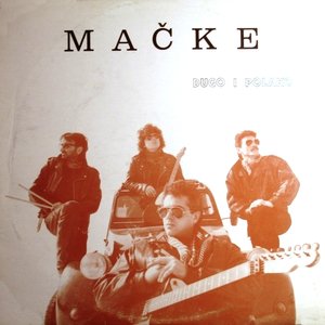 macke 的头像