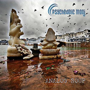 Analog Soup