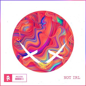 Not Irl - Single