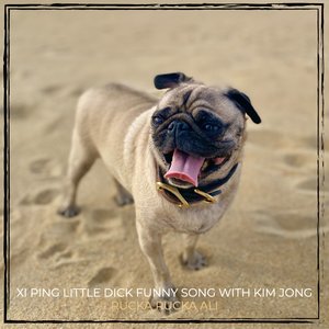 Xi Ping Little Dick Funny Song with Kim Jong