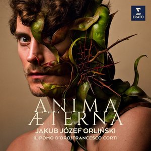 Anima Aeterna - Manna: Laudate pueri: IV. Gloria