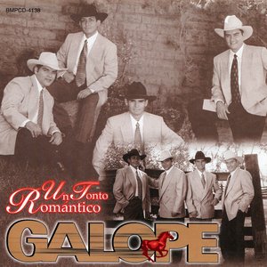 Un Tonto Romantico