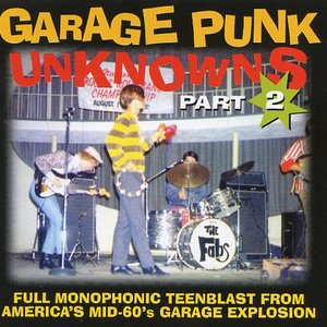 Garage Punk Unknowns, Part 2
