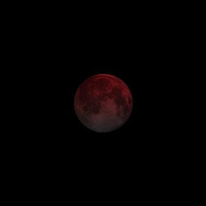 Moonlight