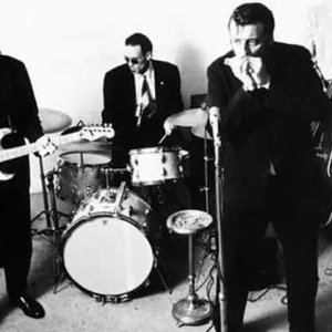 Avatar for Harpdog Brown & The Bloodhounds