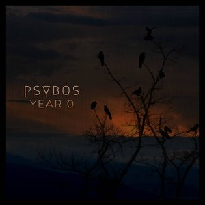 Year 0