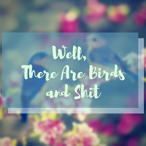 Well, There Are Birds and Shit