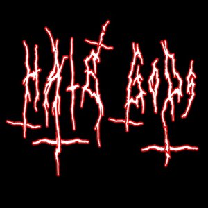 Hate Gods 的头像