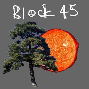 Block 45 的头像