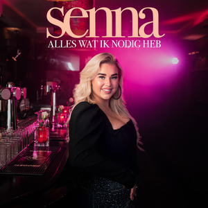 Artwork for Alles Wat Ik Nodig Heb