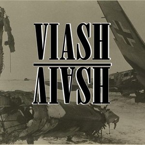 Viash 的头像