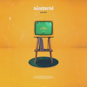 siamesi