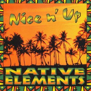 Nice N' Up