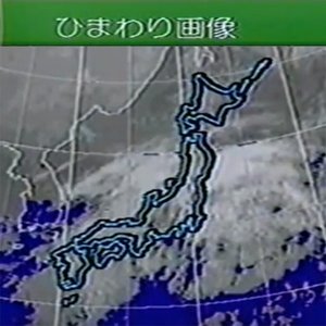 Bild für 'ひまわり画像'