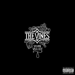 Vision Valley (Bonus Track Version)