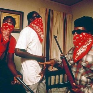 Image for 'Studio Gangsta'