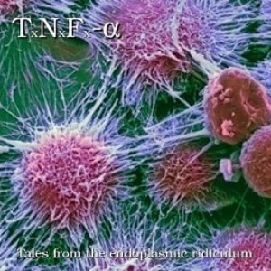 Tales from the endoplasmic ridiculum