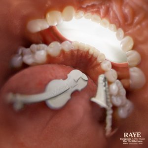 RAYE, 070 Shake 的头像