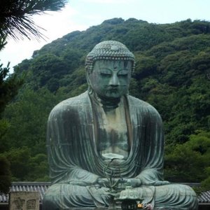 Yasnasan 的头像