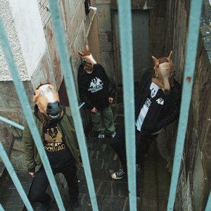 Horse Attack Sqwad 的头像