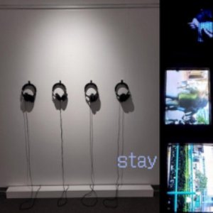 stay