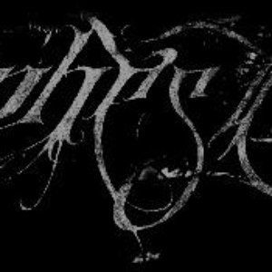 “Phest”的封面