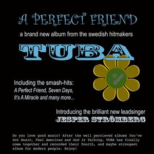 A Perfect Friend